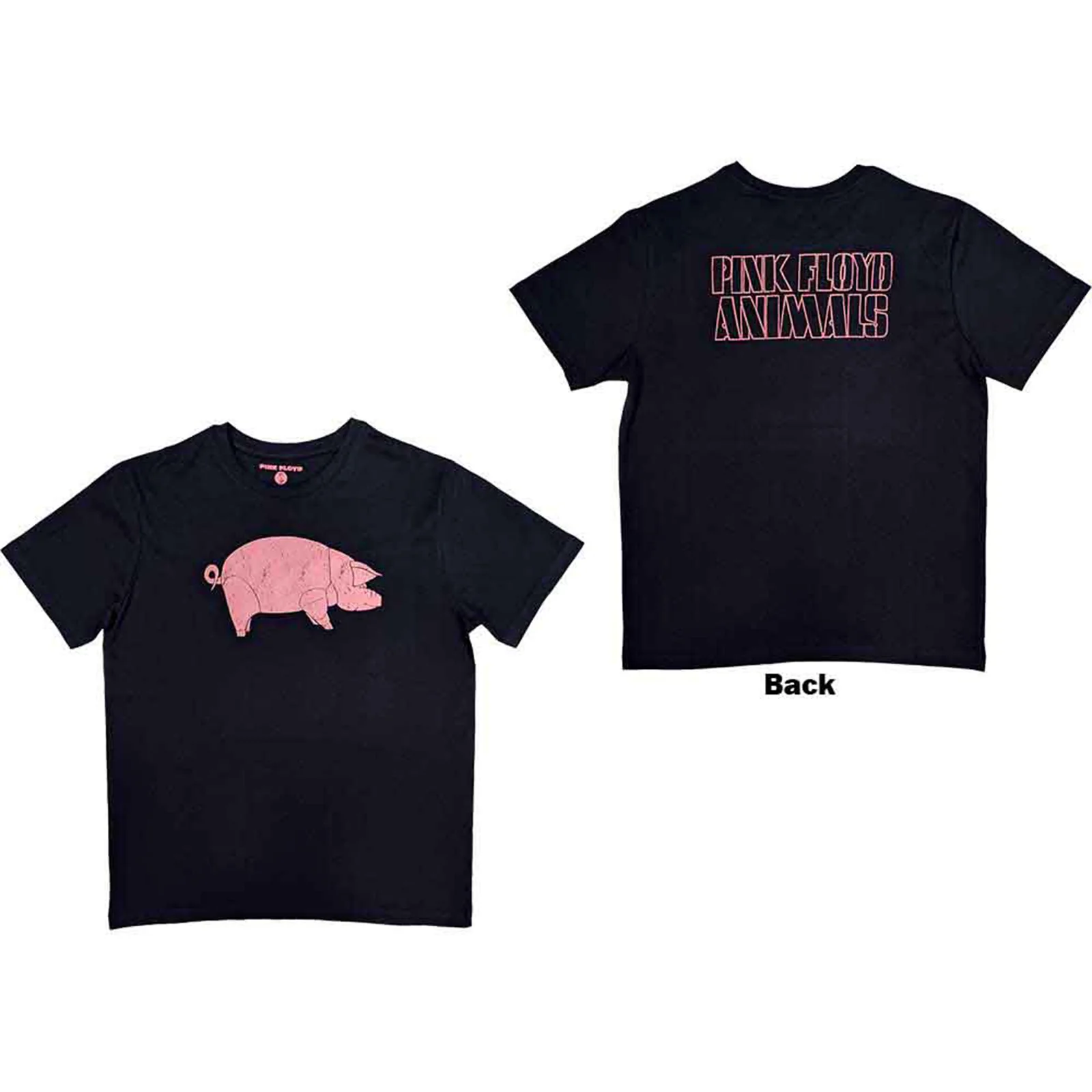 PINK FLOYD - AWBDG - T-Shirt Blue (Back Print)